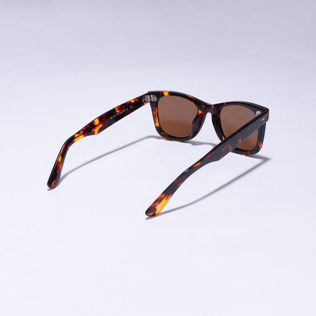 Tom Miller Elite 001 wayfarer sunglasses, tortoise frame, brown lens