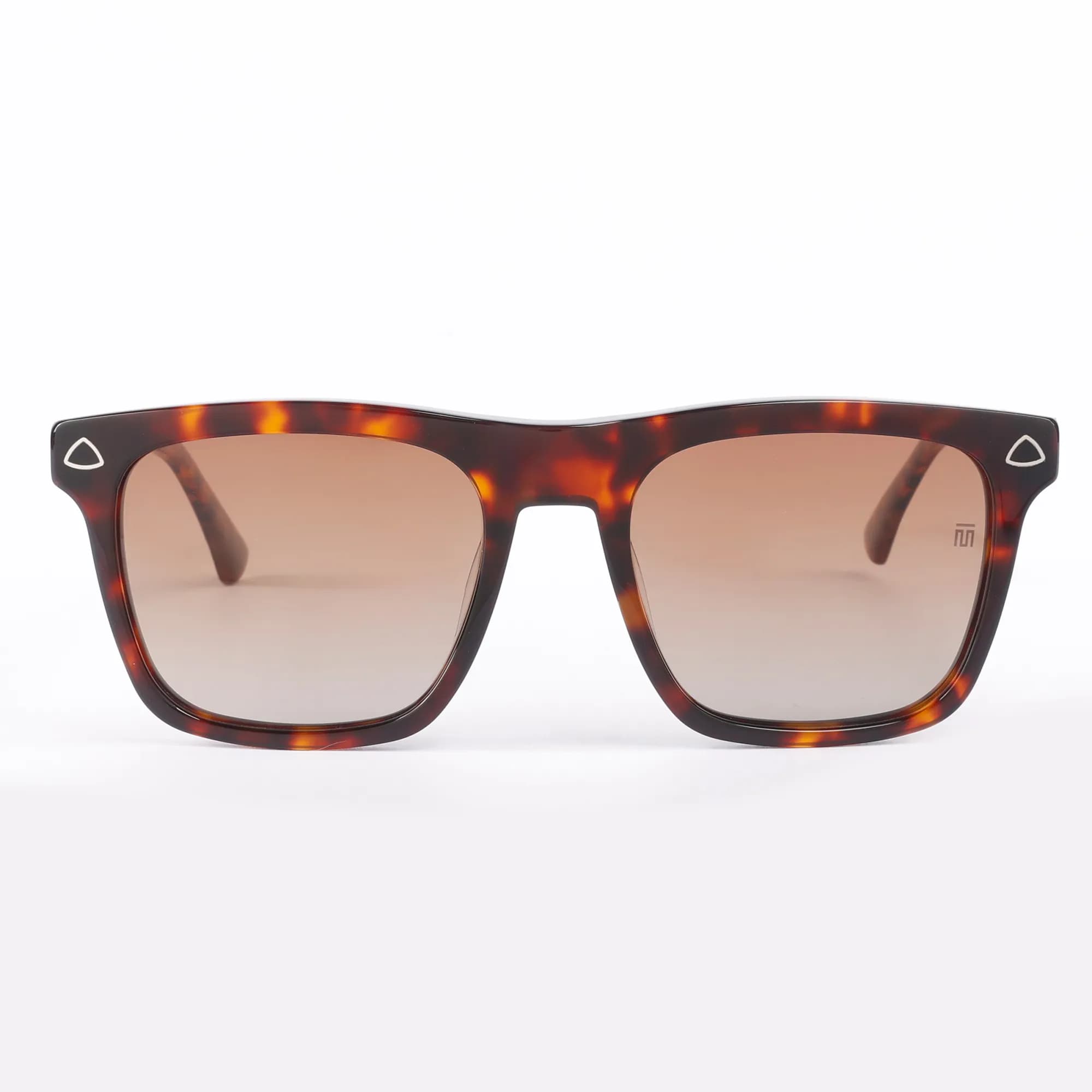 Tortoise / Brown Lens