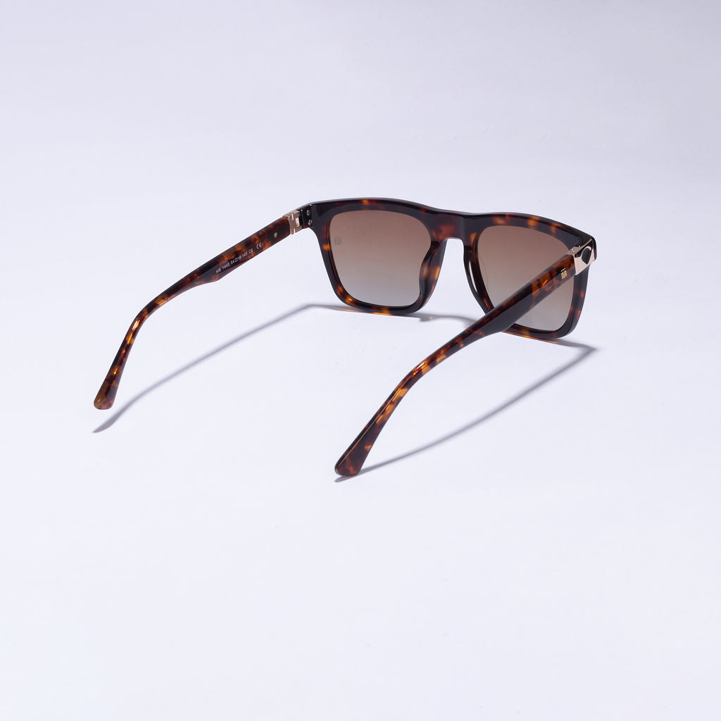 Tom Miller Elite 005 square sunglasses, tortoise frame, brown lens