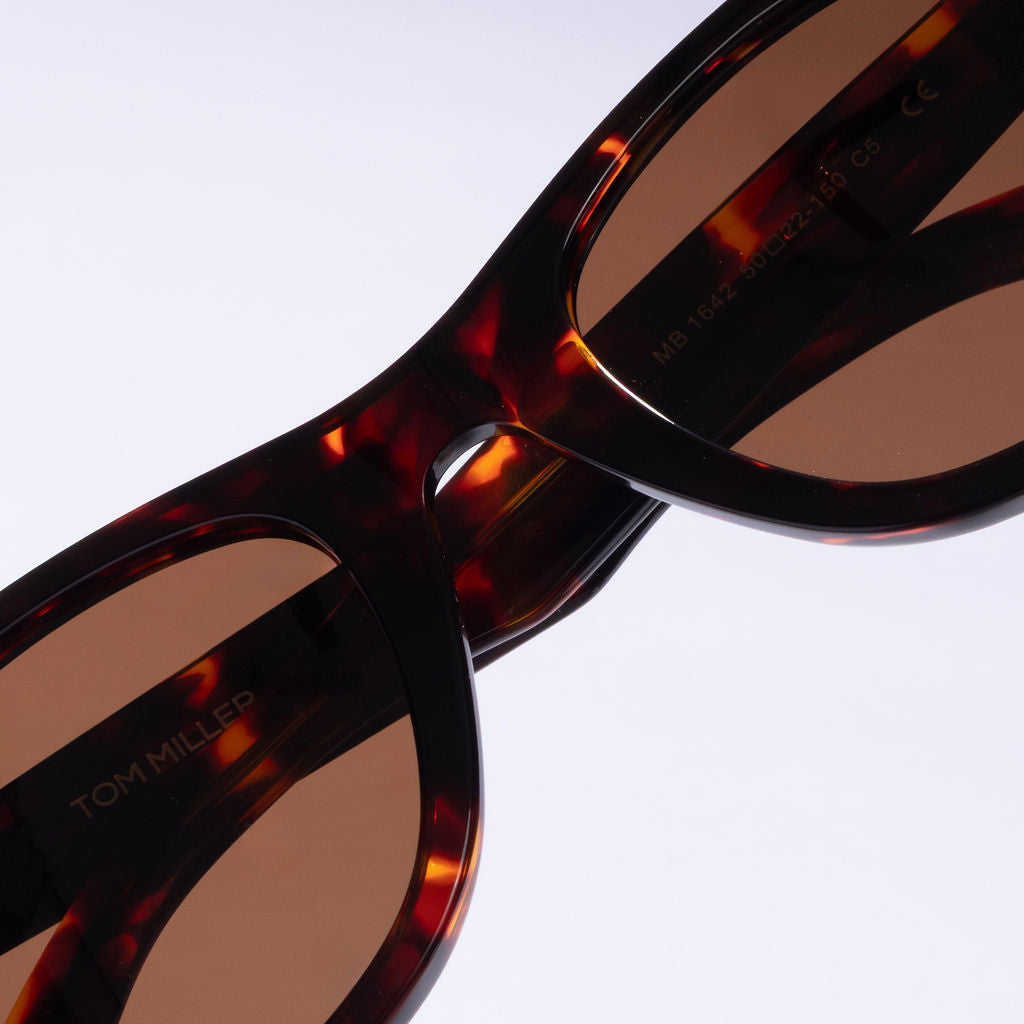 Tom Miller Elite 001 wayfarer sunglasses, tortoise frame, brown lens