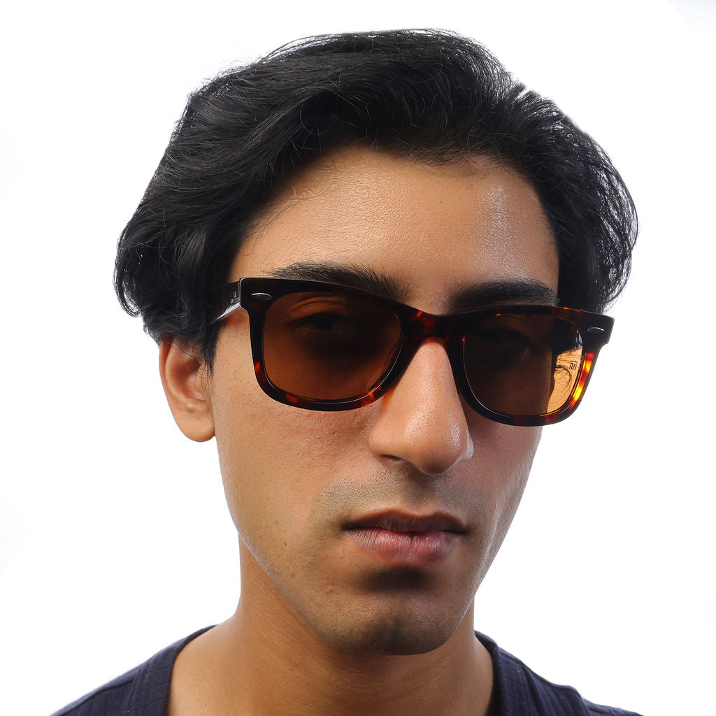 Tom Miller Elite 001 wayfarer sunglasses, tortoise frame, brown lens