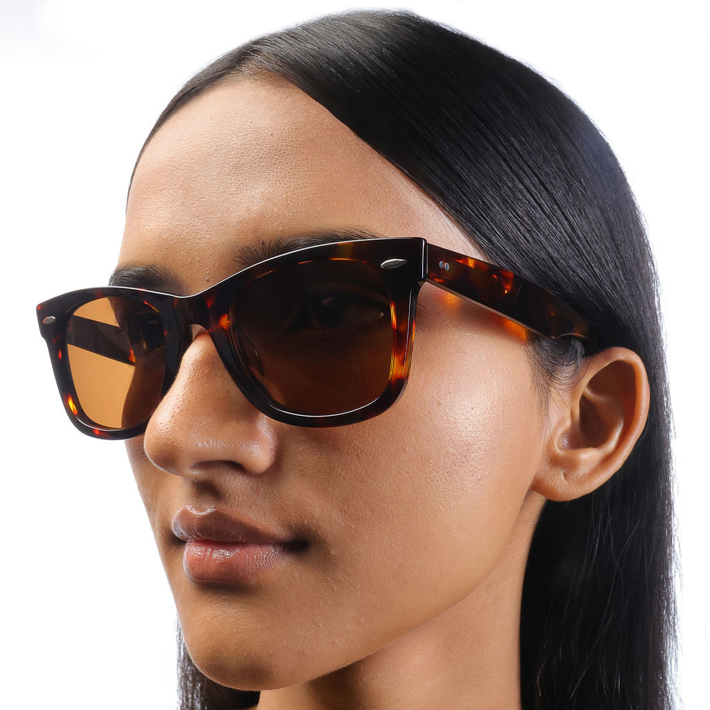 Tom Miller Elite 001 wayfarer sunglasses, tortoise frame, brown lens