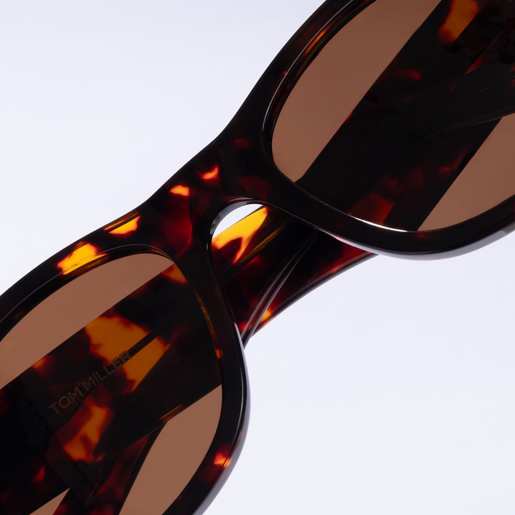 Tom Miller Elite 018 wayfarer sunglasses, tortoise frame, brown lens #Eyewear frame color_Tortoise / Brown Lens